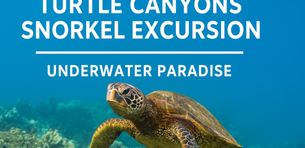 Turtle Canyons Snorkel Excursion