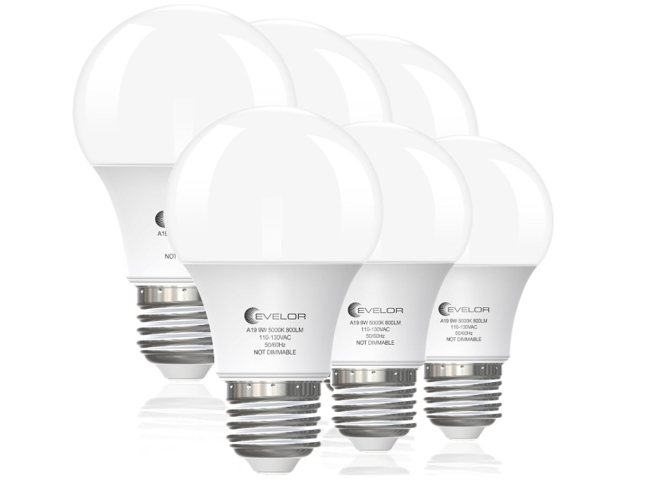 Best Daylight LED Bulbs